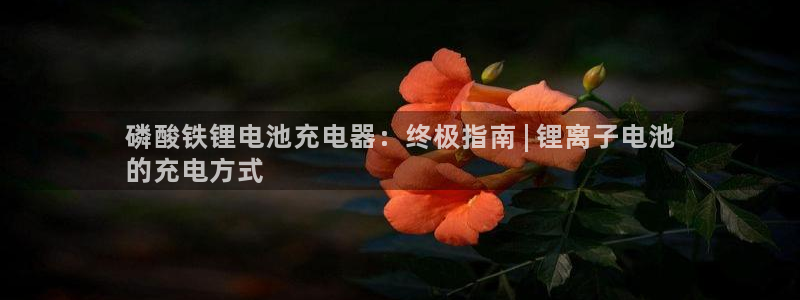 尊龙凯时z6官网
