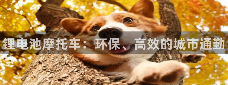 尊龙人生就是博客服