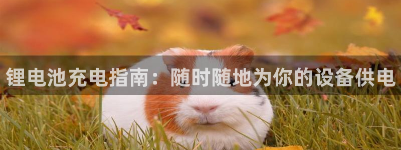 尊龙休闲e站怎么样