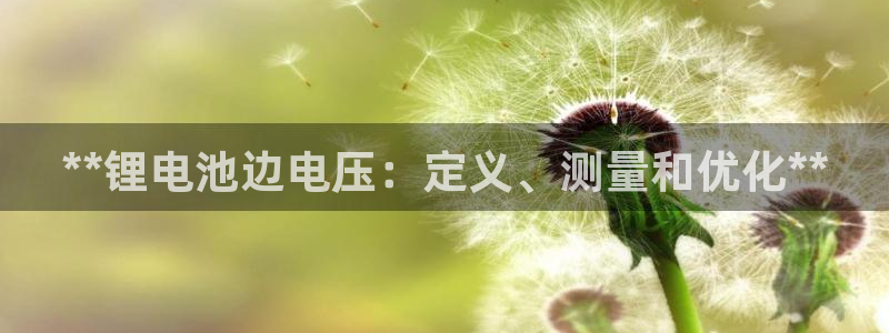 尊龙AG旗舰店