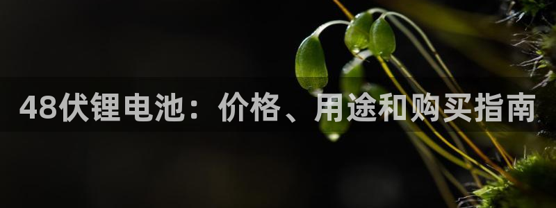 尊龙AG旗舰厅app下载
