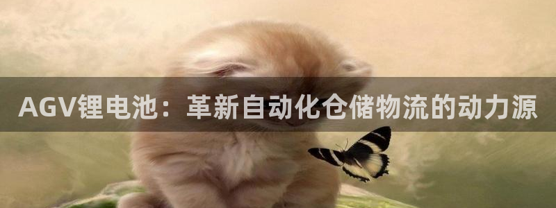 凯时在线平台官网