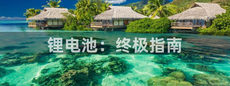 尊龙人生就是-首页(中国)有限公司