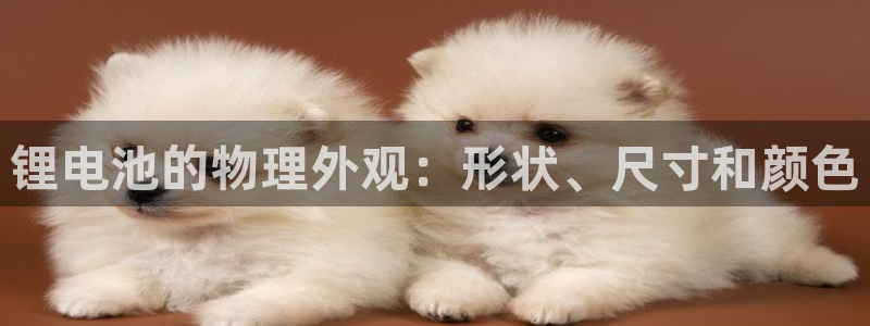 尊龙集团有限公司官网地址