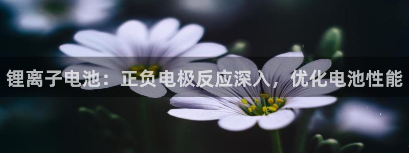 尊龙凯时官方下载