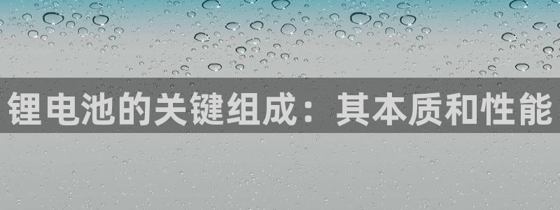 尊龙官方app下载