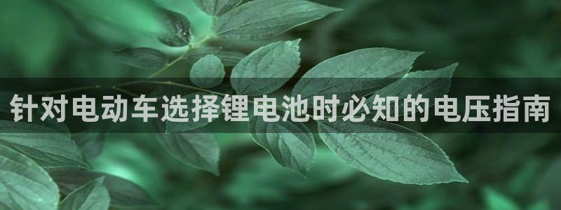尊龙凯时台子