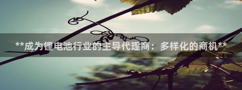 凯时kb88kb88
