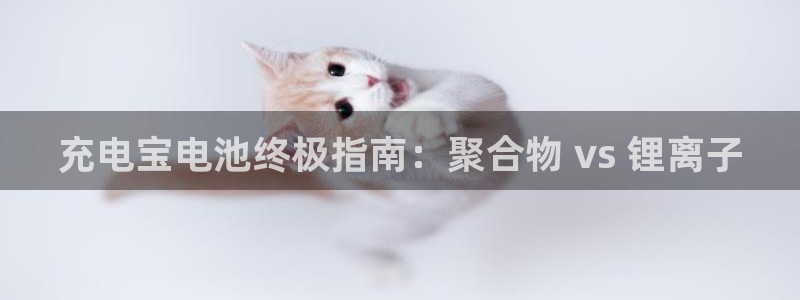 尊龙凯时法充十万返现多少