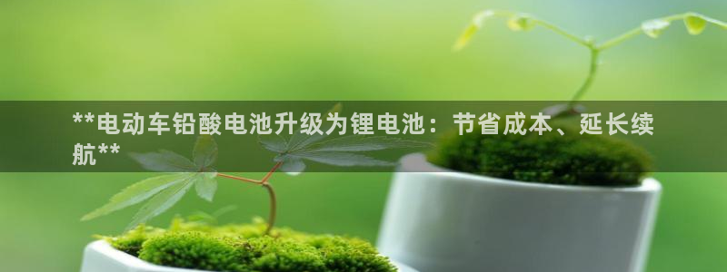 尊龙官网入口