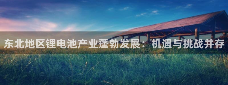 尊龙,人生就是搏