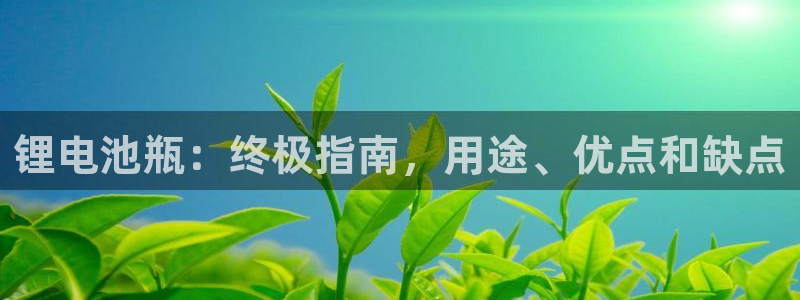 尊龙凯时公司官网