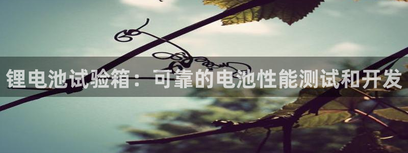 尊龙物流怎么样