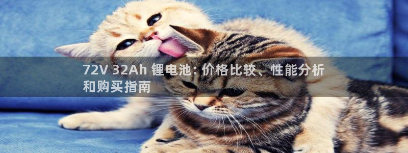 尊龙官方平台