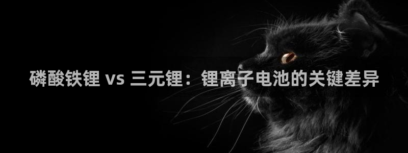 尊龙体育正规么