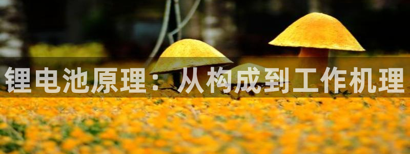 尊龙官方身高