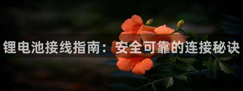 尊龙人生就是博网站下载