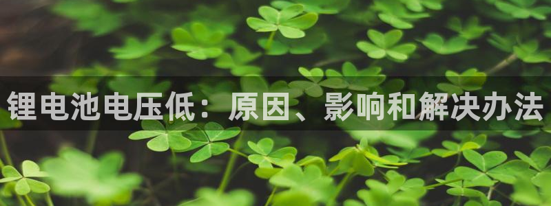 尊龙一人生就是博电子游戏