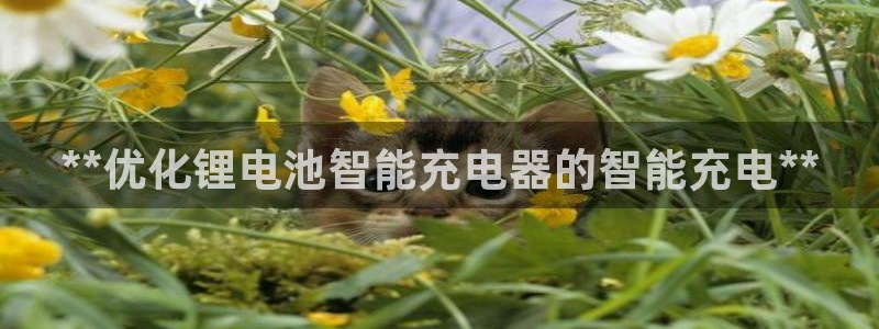 z6尊龙凯时旗舰厅