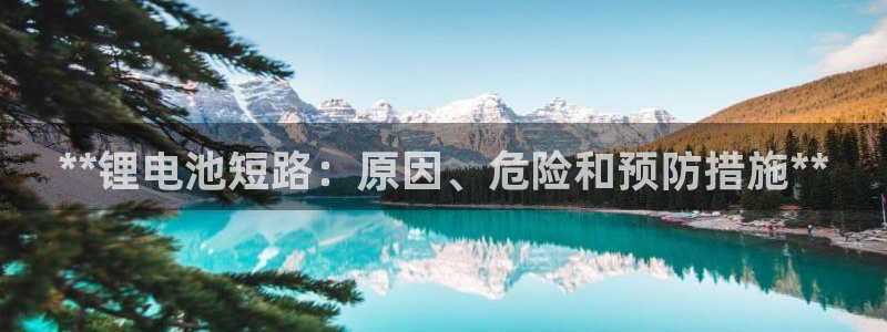 尊龙旗舰厅app