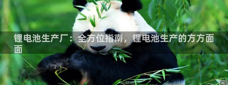 尊龙官网网站