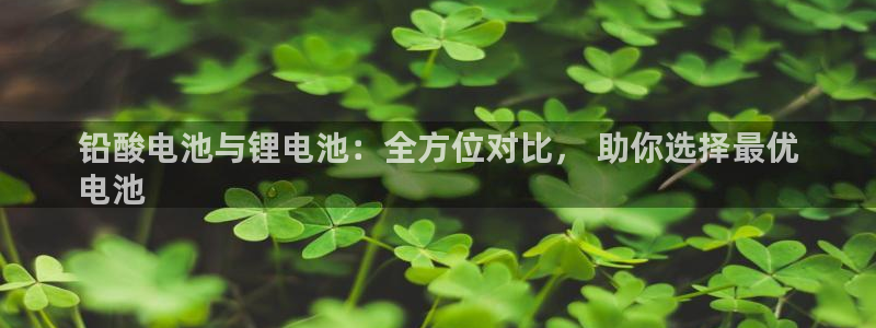 凯时官网手机版下载