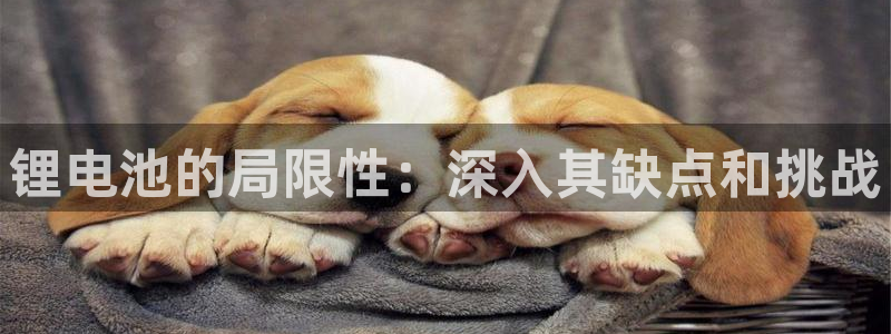 下载尊龙