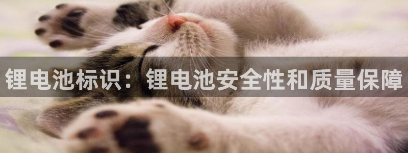 尊龙凯时合法吗?