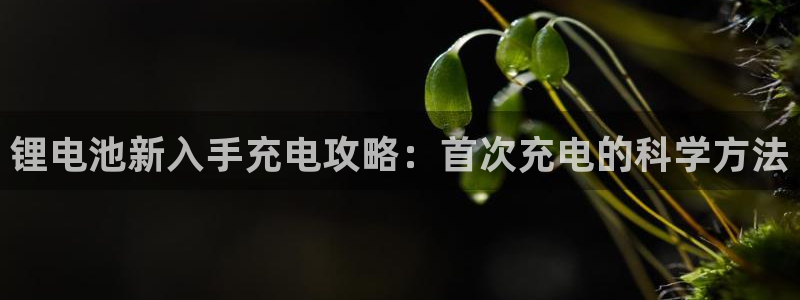 尊龙凯时网站赌愽是真的吗