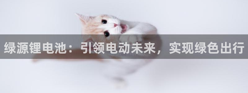 尊龙网平台