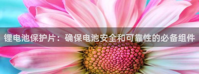 尊龙现金一下S选来就送38