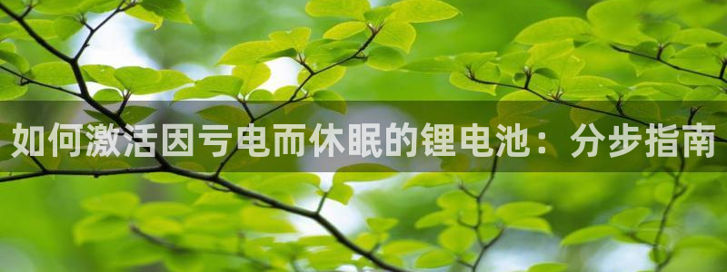 尊龙 下载