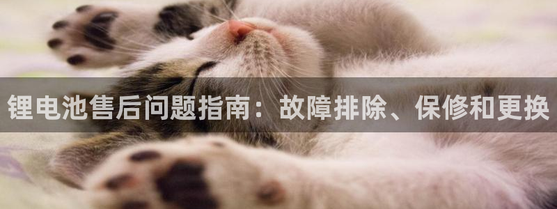 尊龙凯时人生就是博·(中国)官网官
