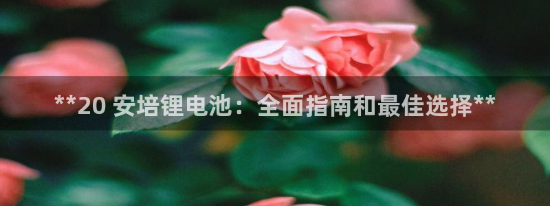 尊龙专访视频