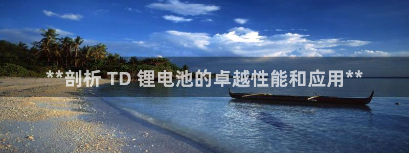 凯时官网的售后服务：**剖析 TD 锂电池的卓越性能和应用**