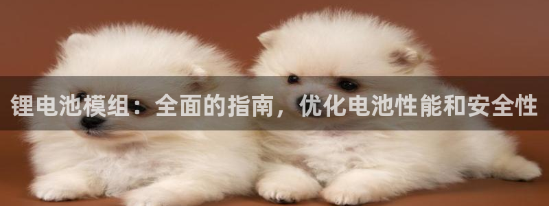 尊龙凯时app官网