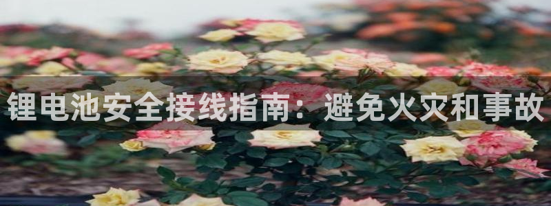 尊龙人生就是博一下首页
