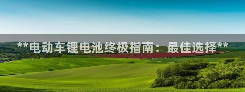 尊龙 国外：**电动车锂电池终极指南：最佳选择**