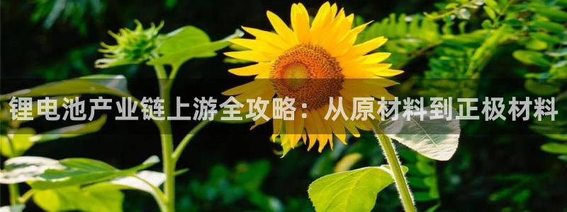 尊龙凯时干什么的：锂电池产业链上游全攻略：从原材料到正极材料