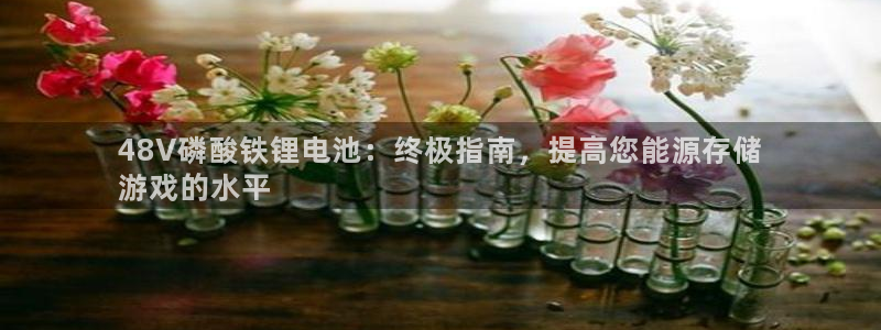 AG尊龙登陆网址：48V磷酸铁锂电池：终极指南，提高您能源存储
游戏的水平