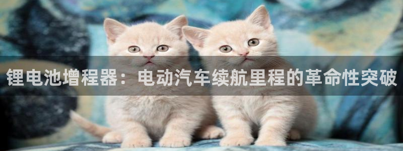 凯时尊龙app国际官方网站