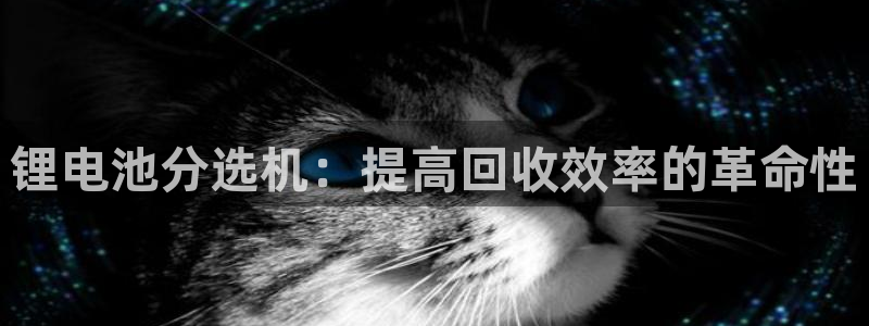 尊龙凯时开发