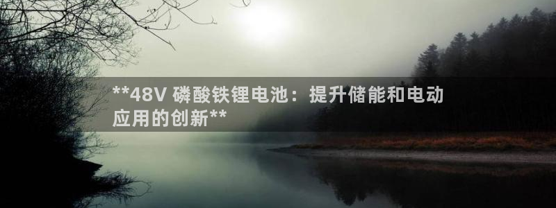 尊龙官网在哪里：**48V 磷酸铁锂电池：提升储能和电动
应用的创新**