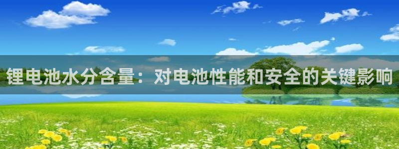 尊龙电子：锂电池水分含量：对电池性能和安全的关键影响