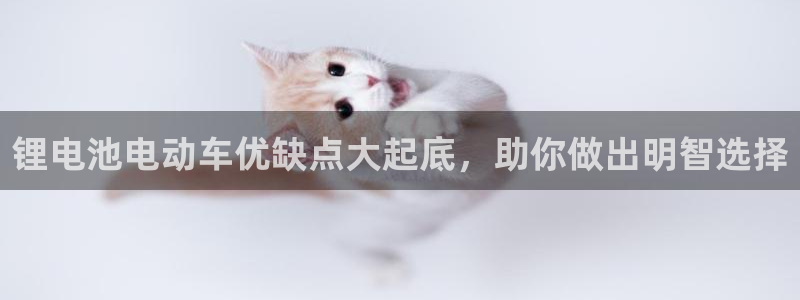 尊龙d88ag官方网站：锂电池电动车优缺点大起底，助你做出明智选择