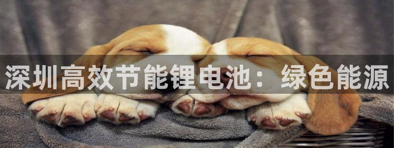 尊龙一人生就是博尊：深圳高效节能锂电池：绿色能源