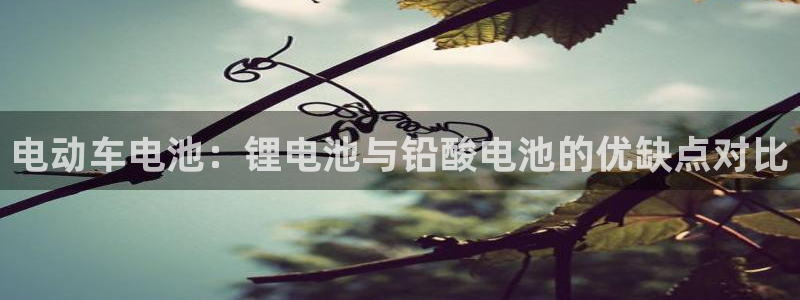 尊龙最近一次露面