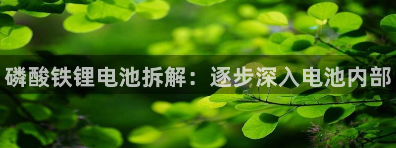 尊龙凯时app安装