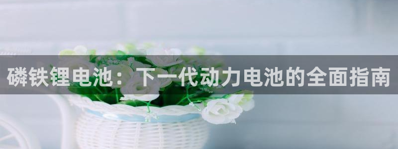 尊龙d88平台登录：磷铁锂电池：下一代动力电池的全面指南