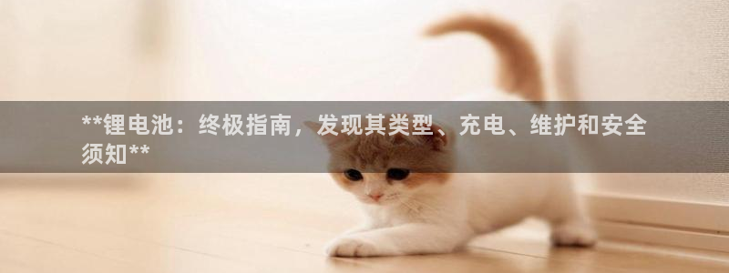 尊龙人生就是博旧版现：**锂电池：终极指南，发现其类型、充电、维护和安全
须知**